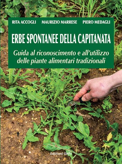 Immagine di Erbe spontanee della capitanata. Guida al riconoscimento e all'utilizzo delle piante alimentari tradizionali